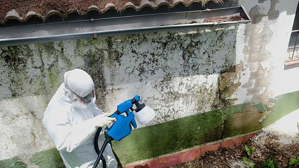 Top rated local Commercial Mold Remediation specialists in Church Hill, MD